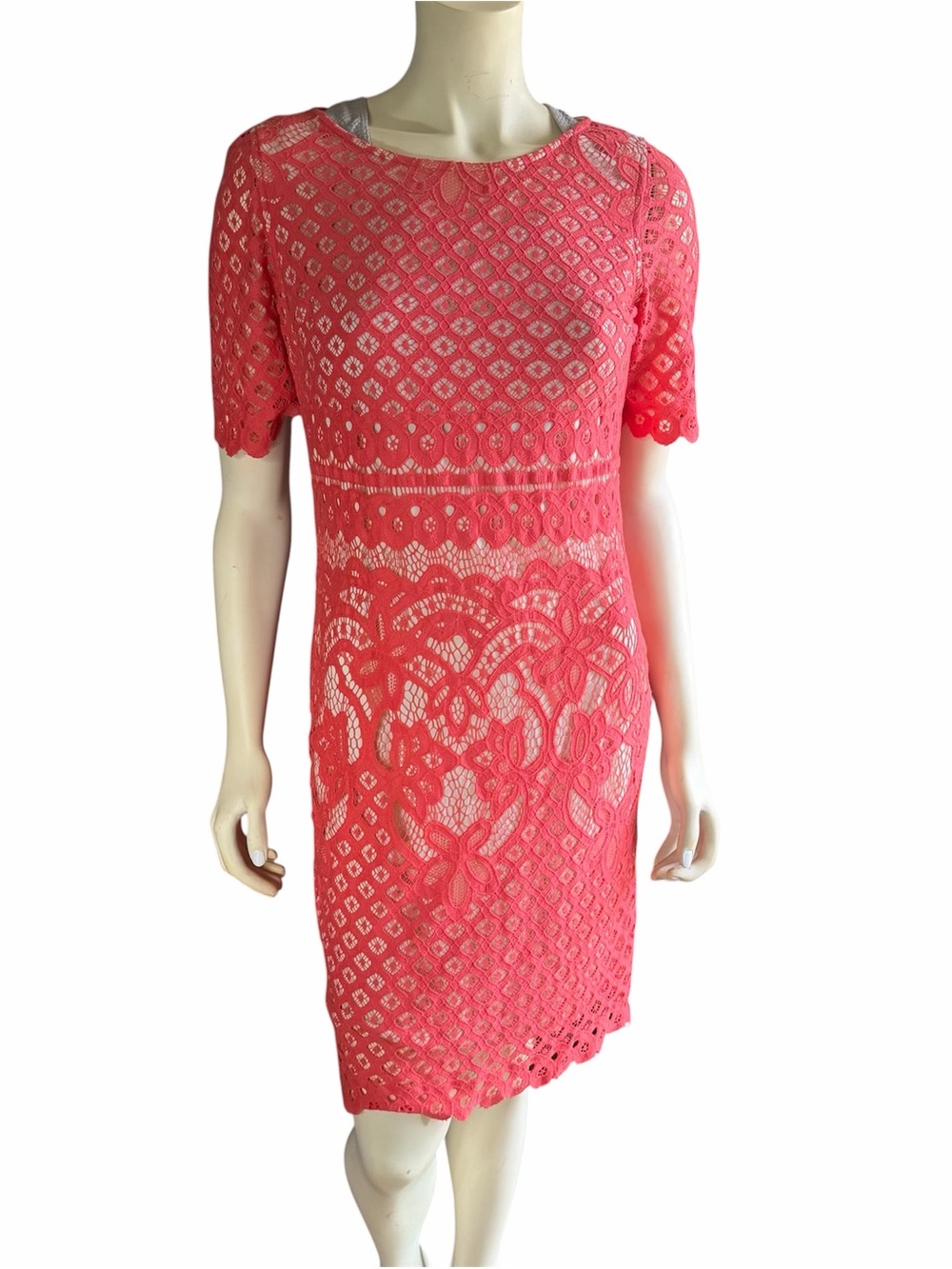 DR Collection Coral Lace Sheath Dress Women’s Size 6P Petite
